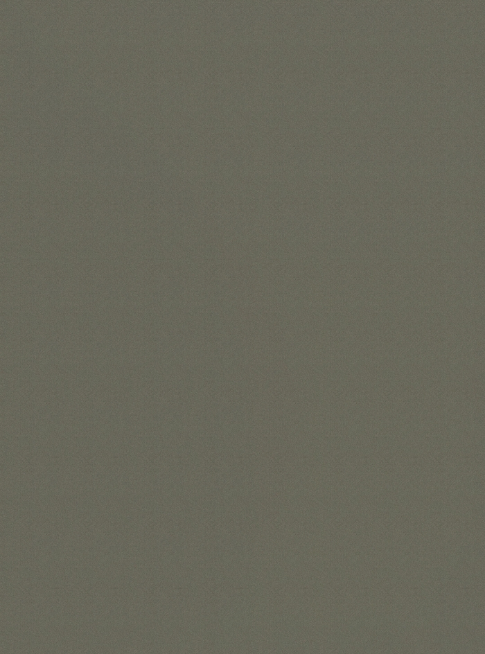 FB85 Cesio Cleaf Idea
