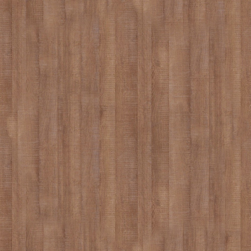 H1151 Dąb Arizona brązowy