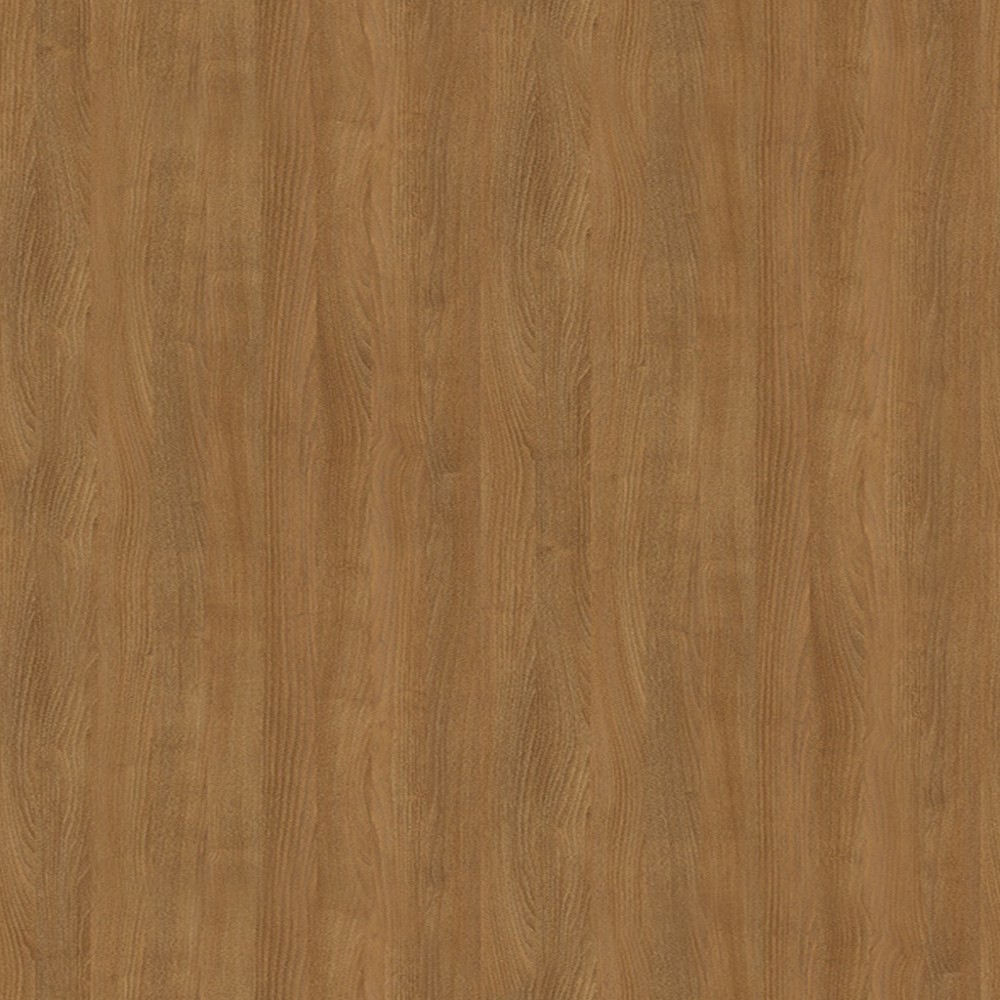 H1251 Robinia Branson naturalna