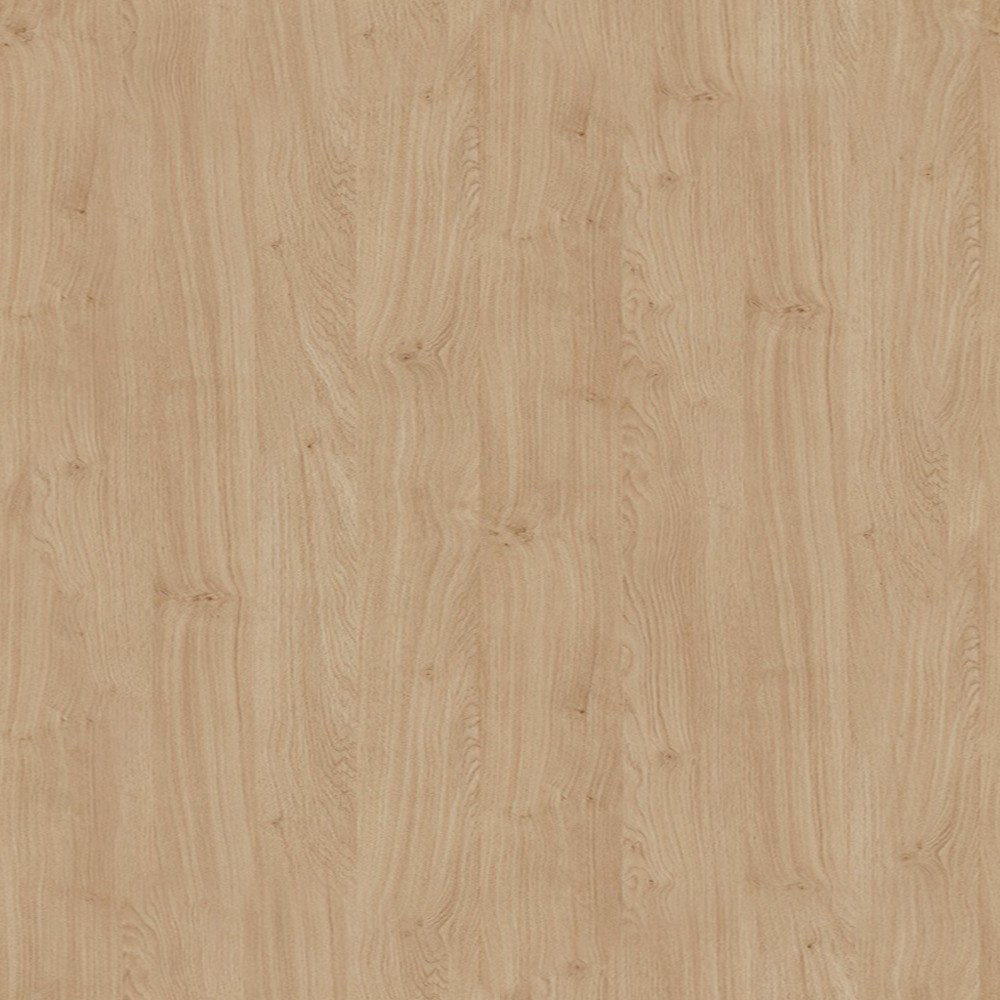 H3170 Dąb Kendal naturalny