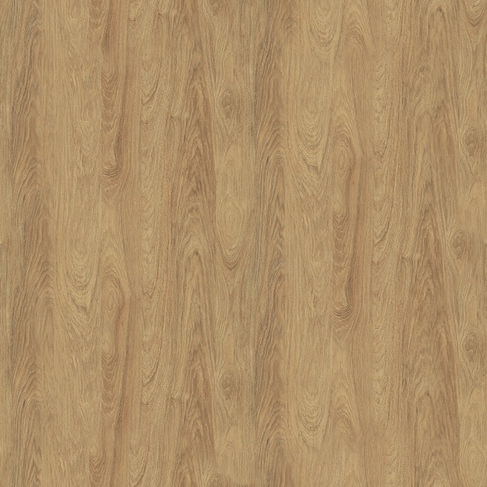 H3730 Hikora naturalna