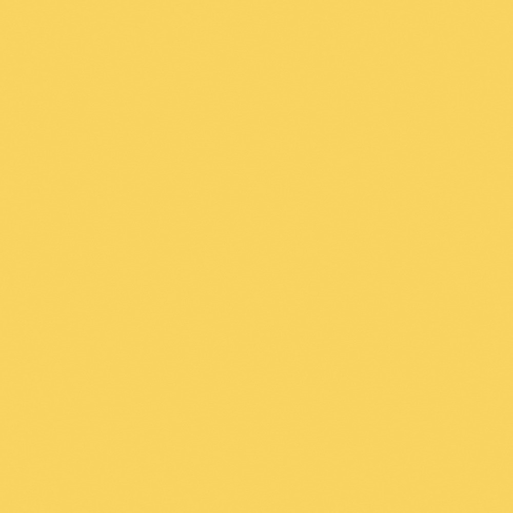 U146 Maize Yellow