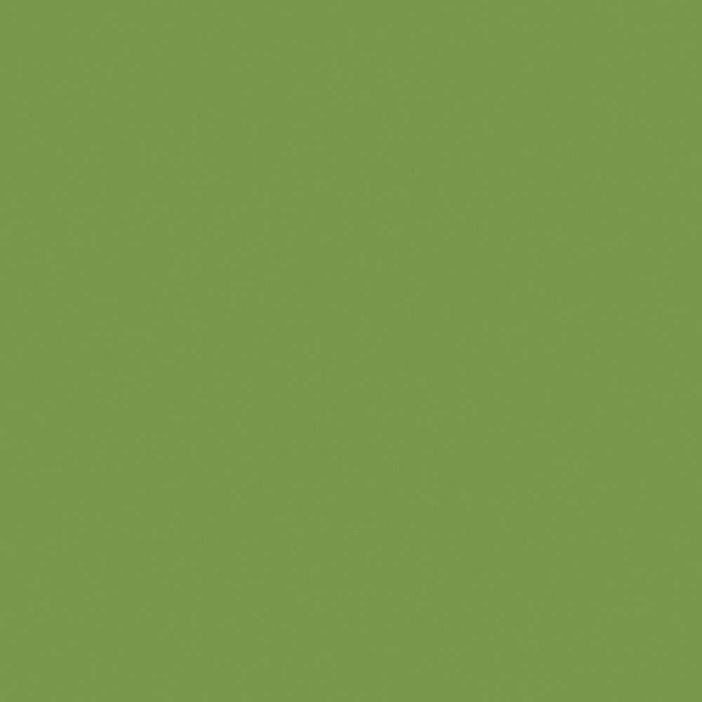 U626 Ziele?kiwi