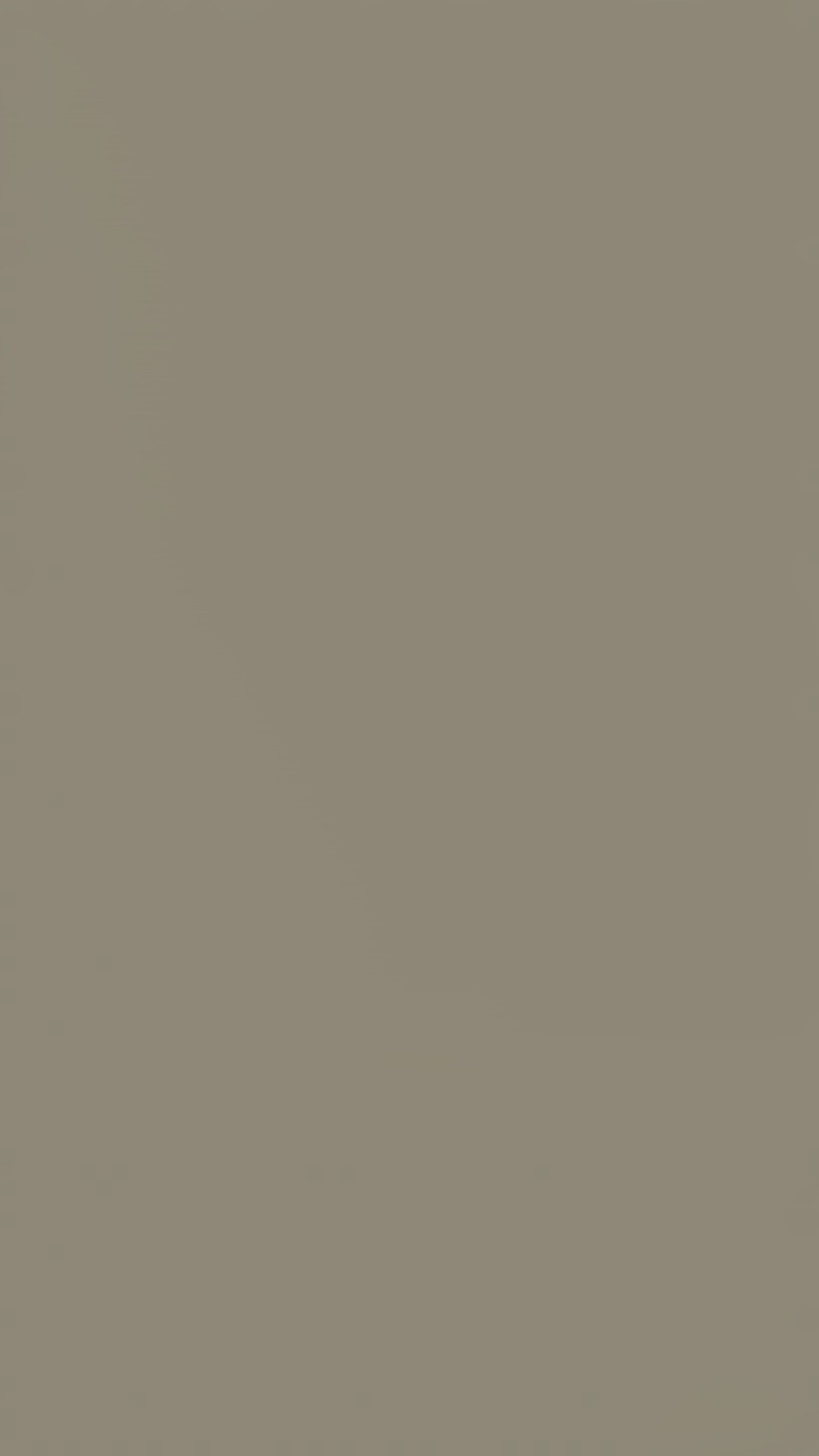 U740 TM9 Taupe ciemny