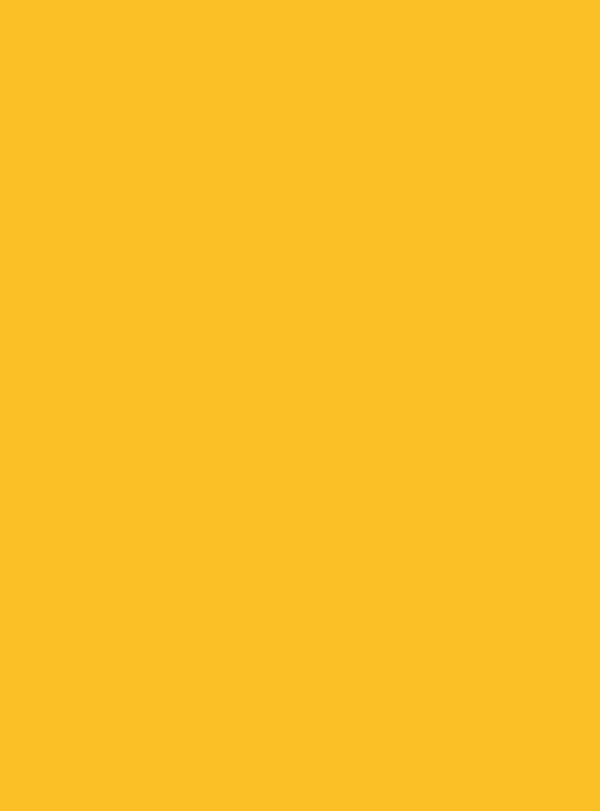 0134_BS-Żółty