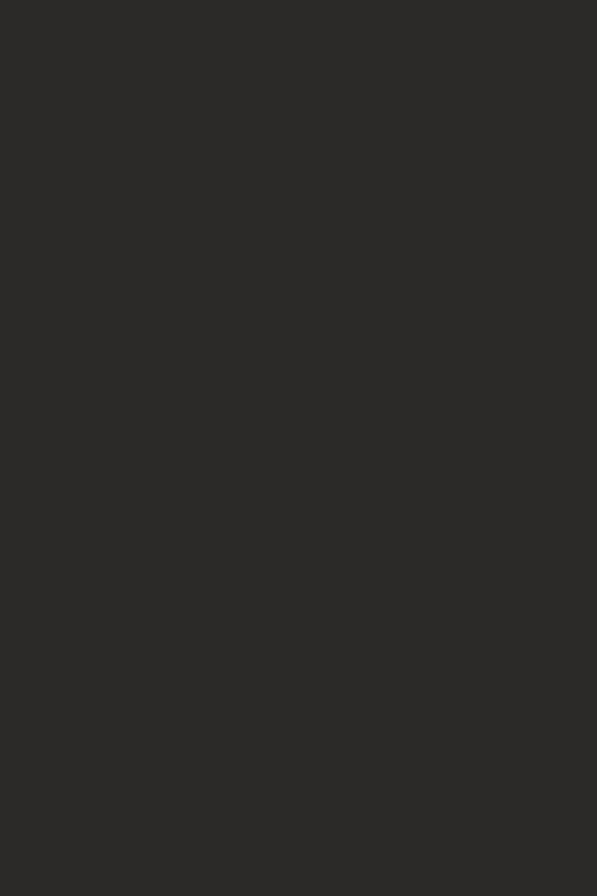 0166_BS-Bazalt