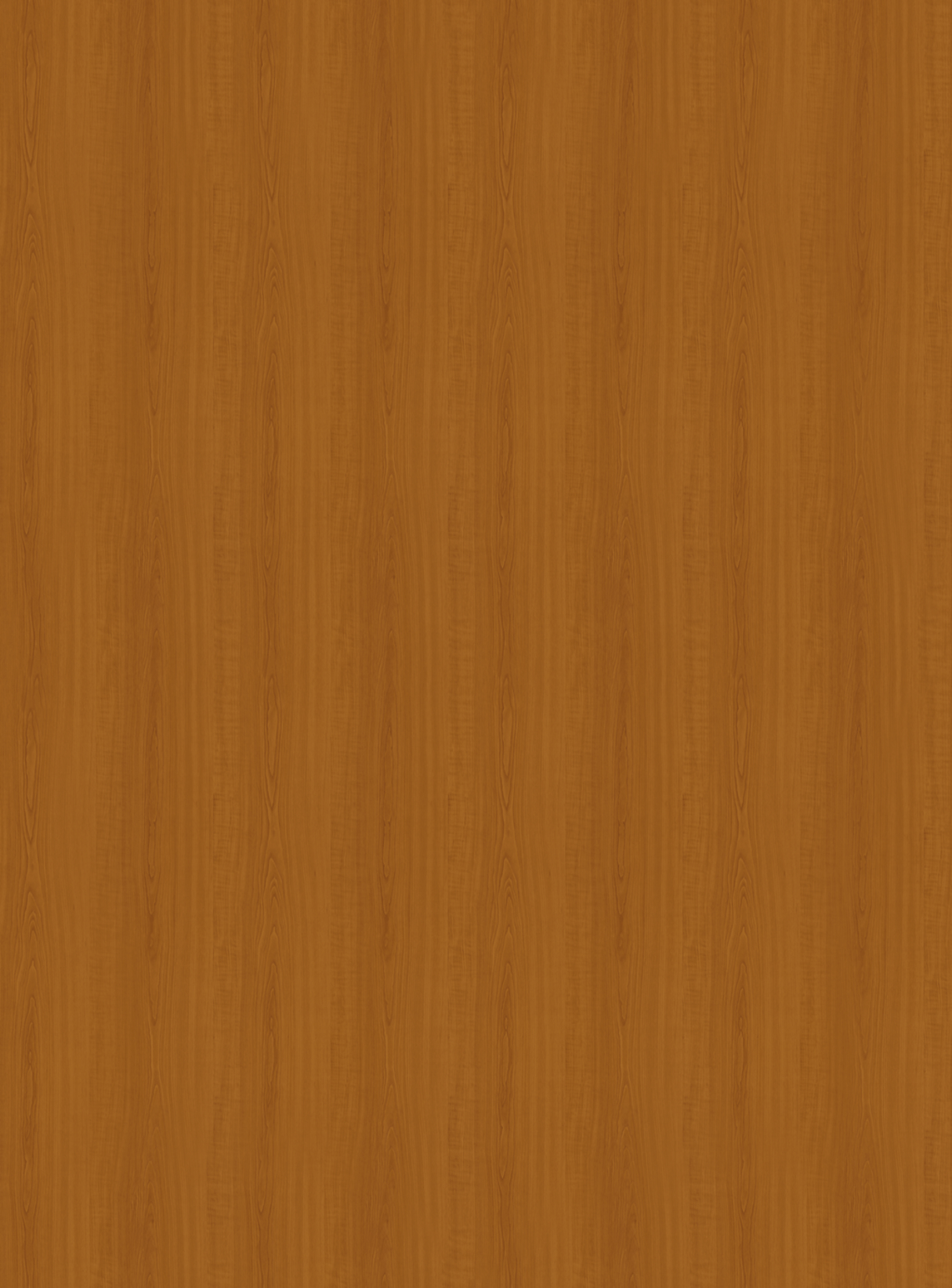 0344_BS-Wiśnia