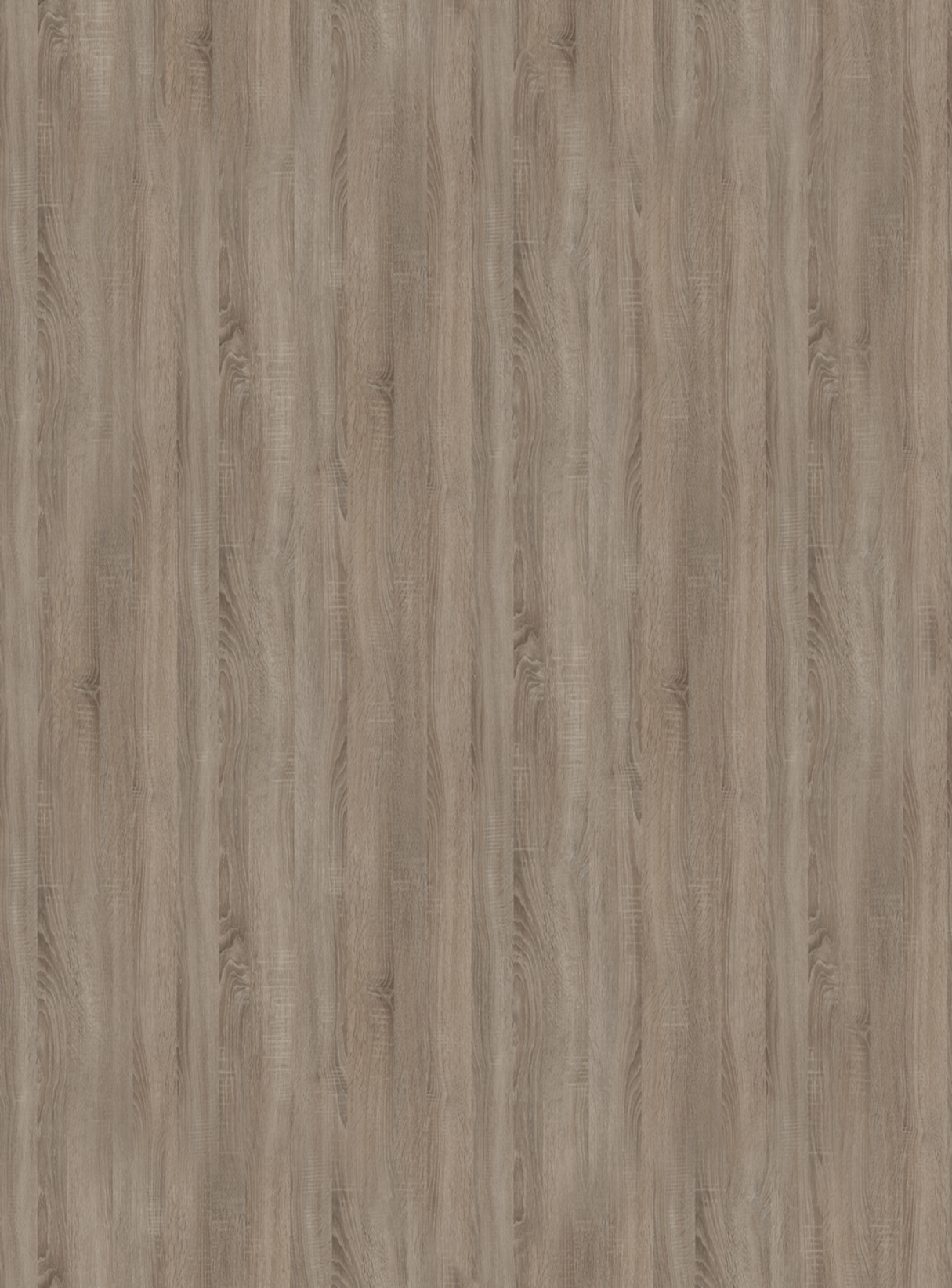5194_SN-Dąb Truflowy