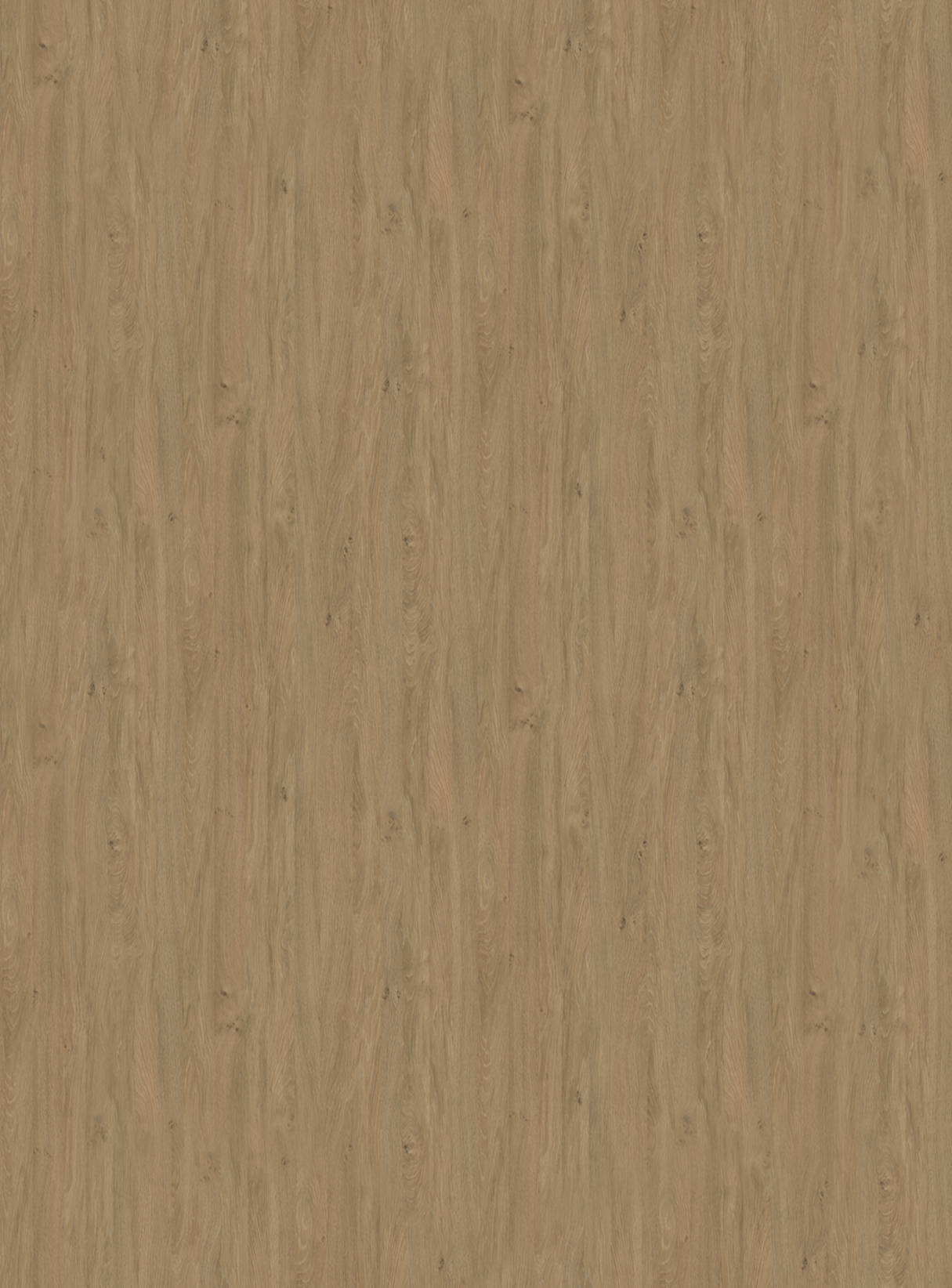 5527_SN-Stone Oak