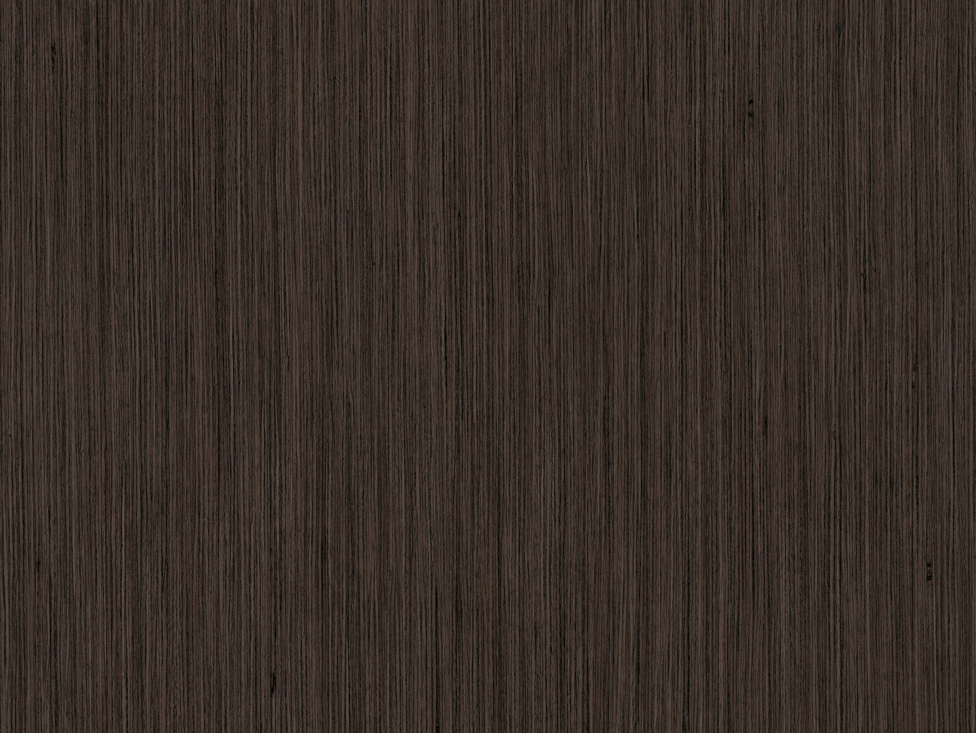 8548_SN-Fineline Mocca