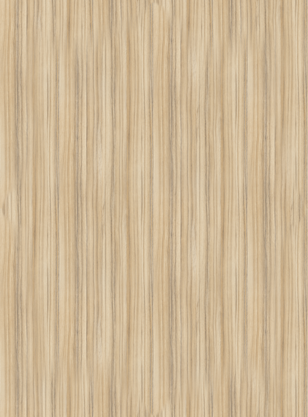 8995_SN-Coco Bolo