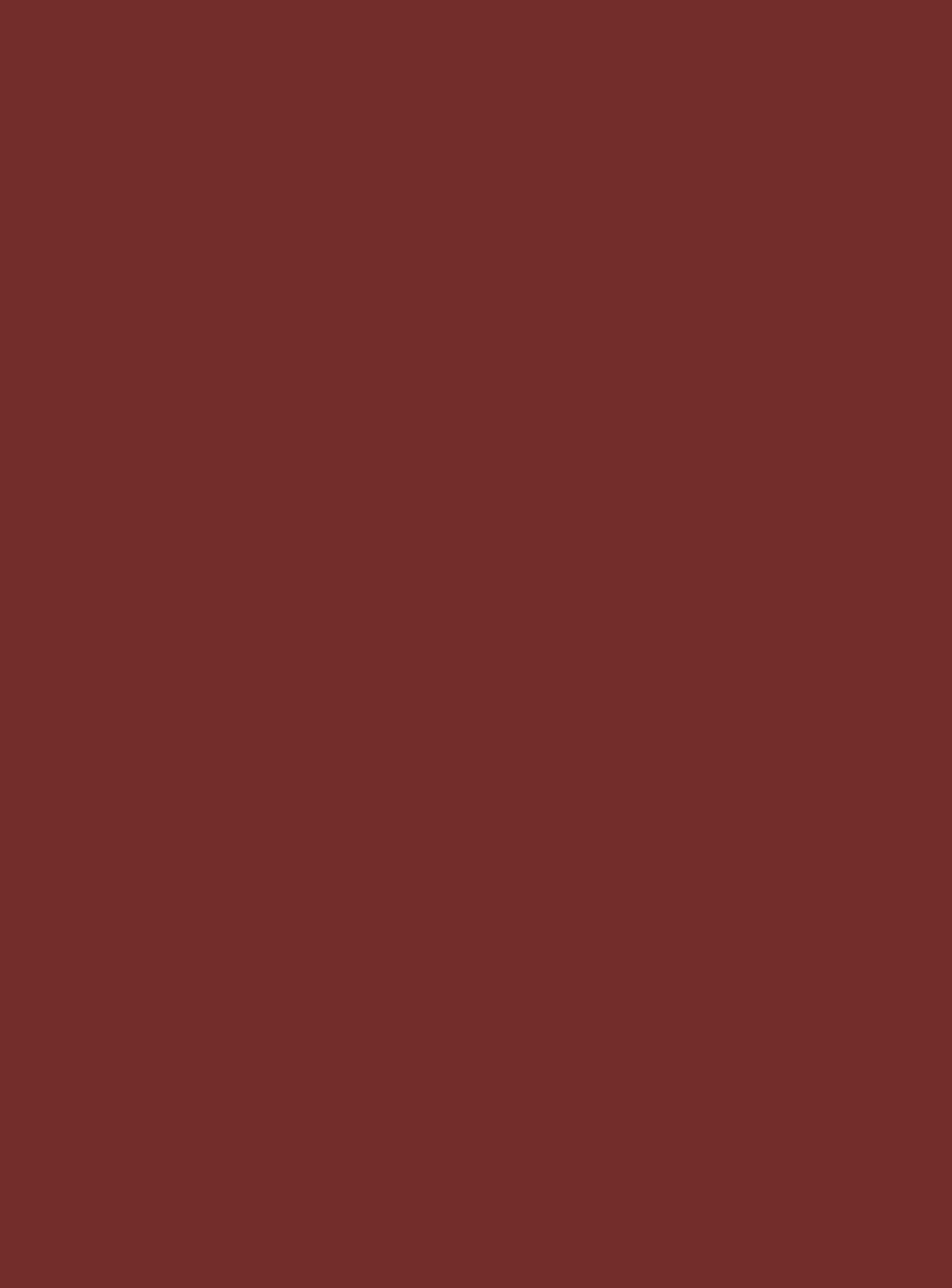 9551_BS-Czerwony Oxid