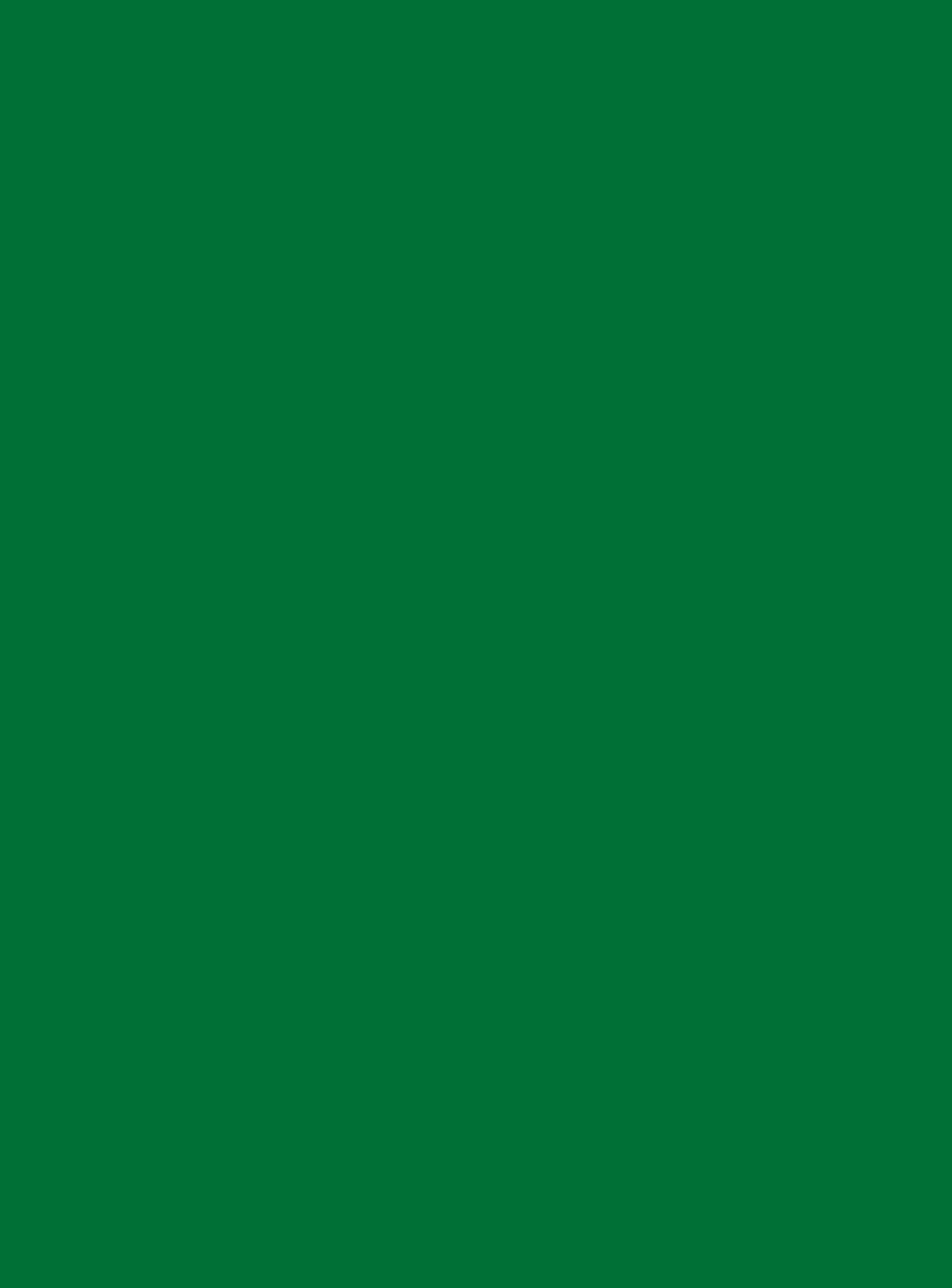 9561_BS-Zielony Oxid