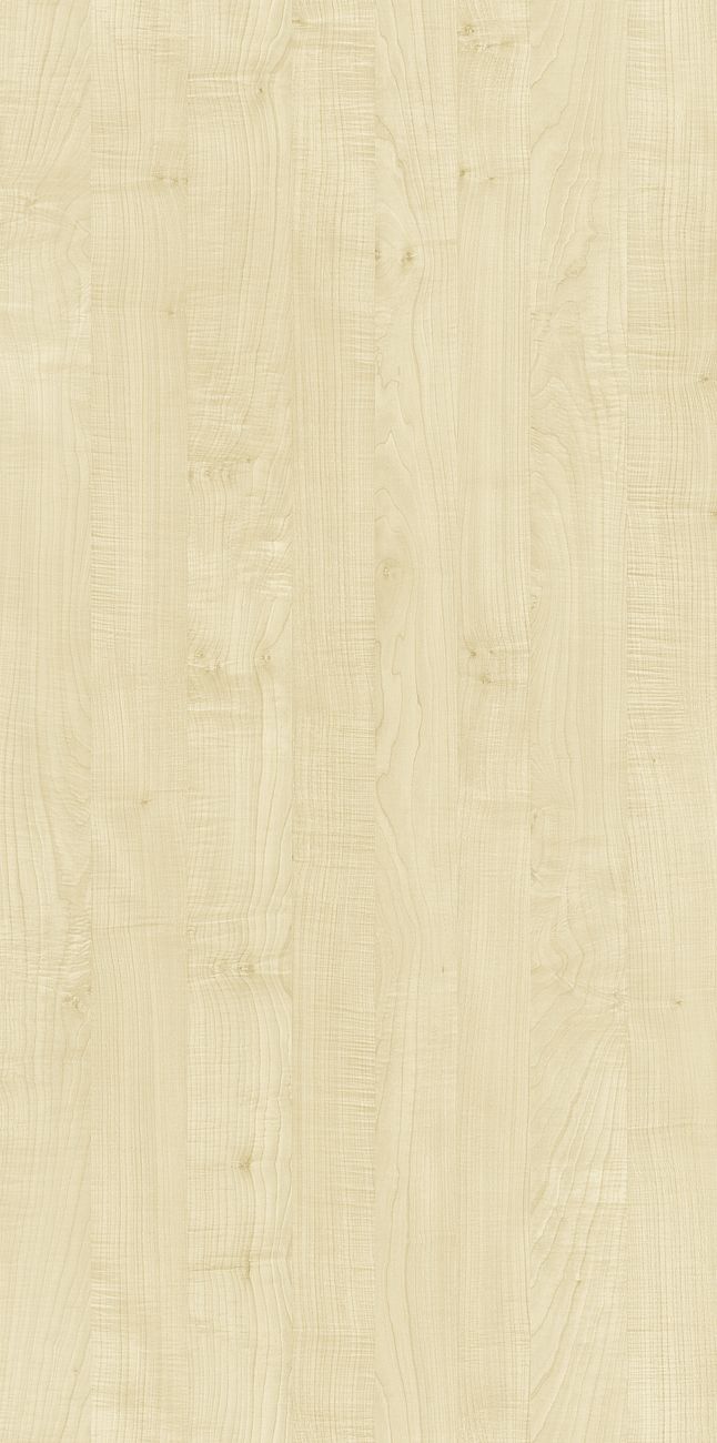 D2460_VL Klon bialy