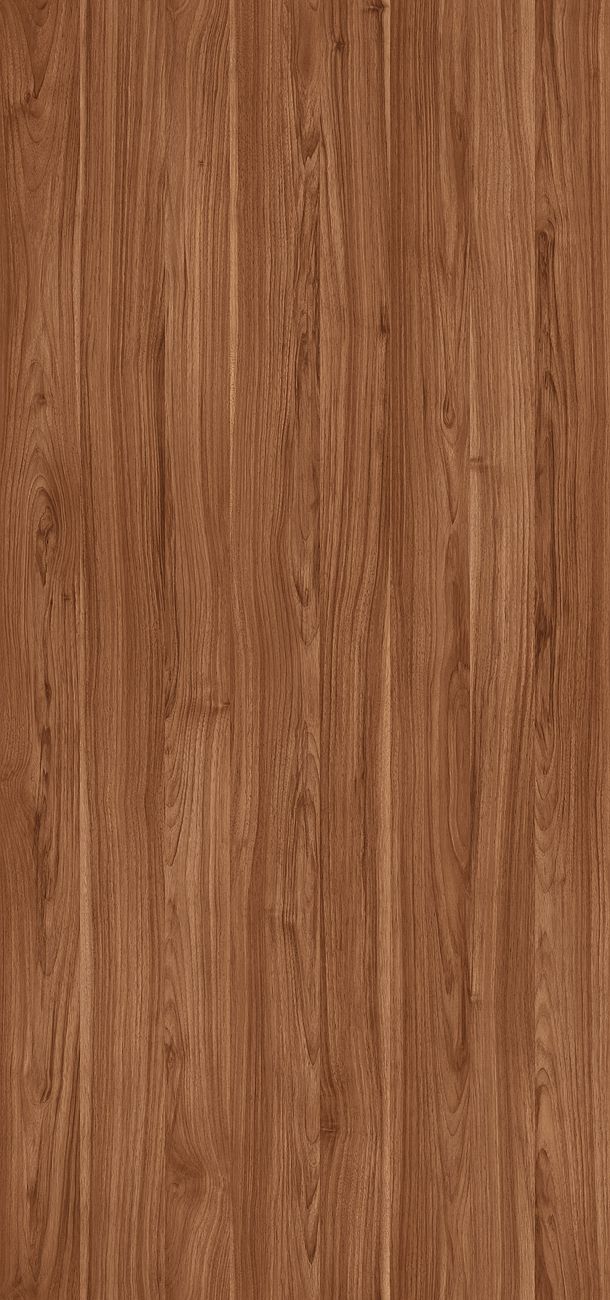 D2842_BS Orzech Burgundia